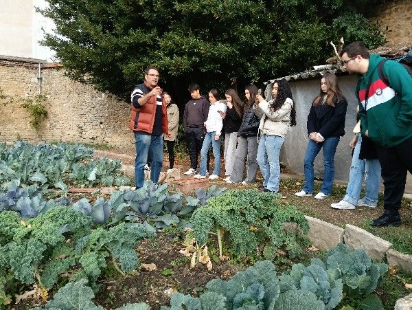 Gasteizko baratze ezkutua - CIFP Ciudad Jardin LHII